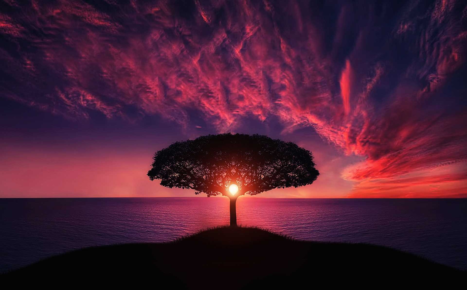 7 chakras arbre coucher de soleil